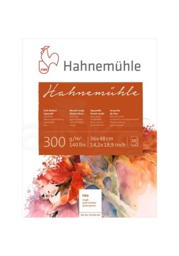 Hahnemühle 300 Sulu Boya Blok 300g Rough 36x48cm 10 Yaprak