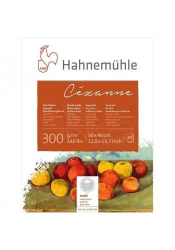 Hahnemühle Cezanne Sulu Boya Blok Cold Pressed 300g 10 Yaprak 30x40cm