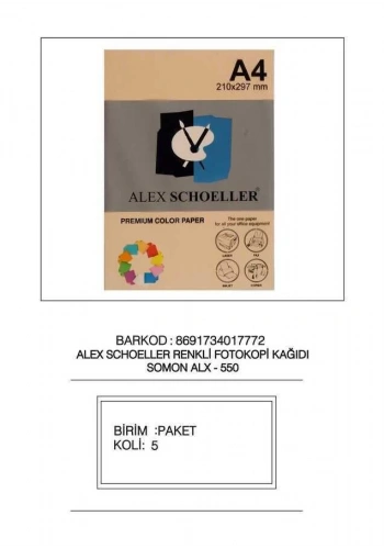 Alex Schoeller Fotokopi Kağıdı Renkli A4 500lü 550 Somon
