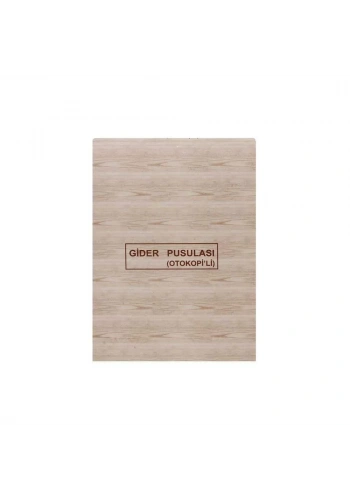 Dilman Otokopili Gider Makbuzu Pusulası