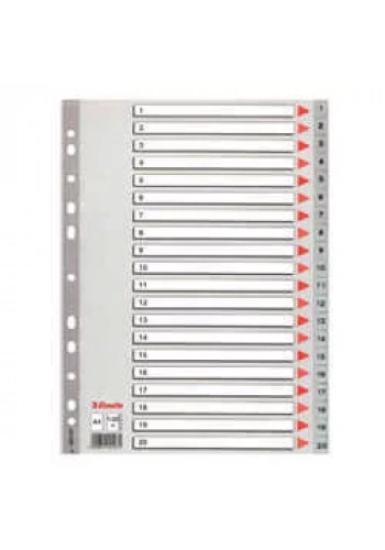 Esselte Seperatör A4 1-20 Rakam