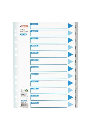 Bigpoint PP Seperatör Aylar