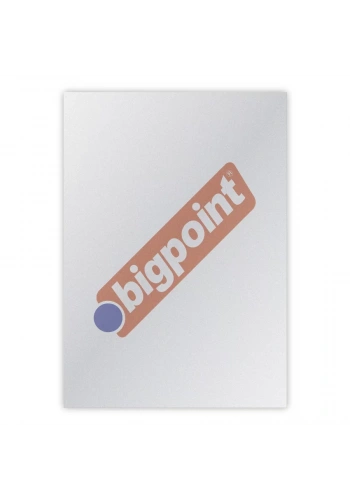 Bigpoint A4 Cilt Kapağı 150 Mikron Buzlu Şeffaf 100lü Paket