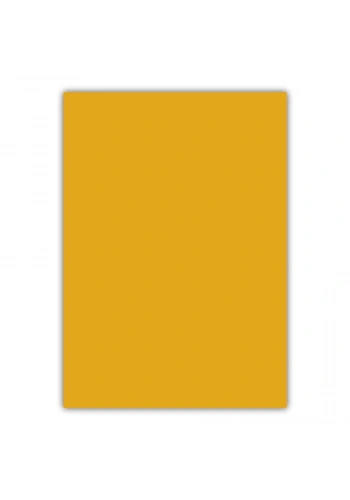 Bigpoint A4 Cilt Kapağı 150 Mikron Opak Turuncu 100lü Paket