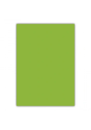 Bigpoint A4 Cilt Kapağı 150 Mikron Opak Açık Yeşil 100lü Paket
