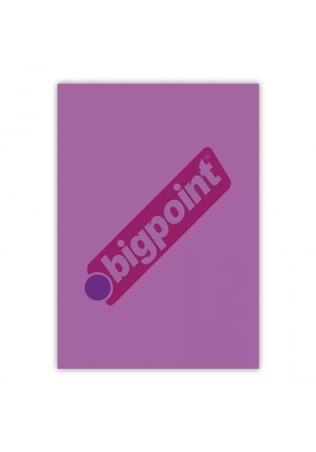Bigpoint A4 Cilt Kapağı 150 Mikron Şeffaf Mor 100lü Paket