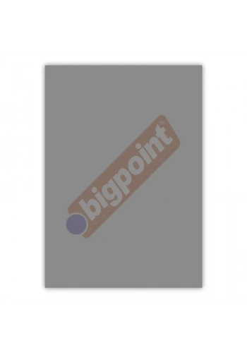 Bigpoint A4 Cilt Kapağı 150 Mikron Şeffaf Siyah 100lü Paket