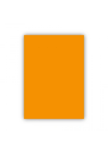 Bigpoint Fon Kartonu 50x70cm 160 Gram Turuncu