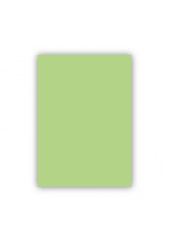 Bigpoint Fon Kartonu 50x70cm 160 Gram Uçuk Yeşil