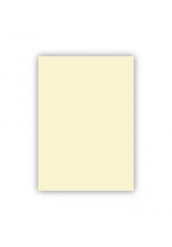Bigpoint Fon Kartonu 50x70cm 120 Gram Fildişi
