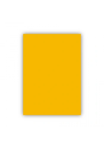 Bigpoint Fon Kartonu 50x70cm 120 Gram Altın Sarısı