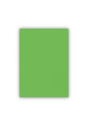 Bigpoint Fon Kartonu 50x70cm 120 Gram Açık Yeşil
