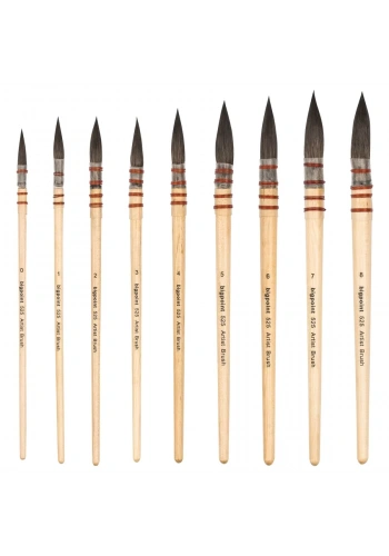 Bigpoint 525 Serisi Sincap Kılı Yuvarlak Fırça No: 6