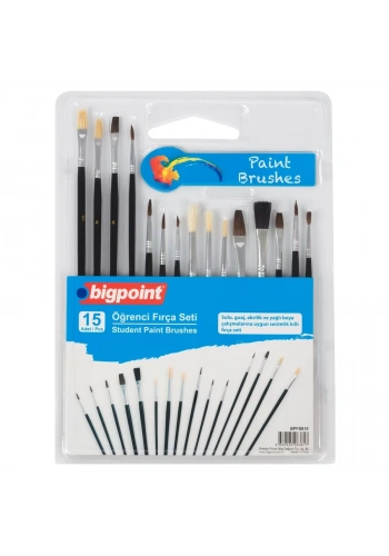 Bigpoint Öğrenci Fırça Seti 15li Blister