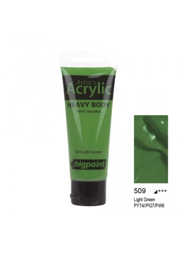 Bigpoint Akrilik Boya 75 ml Light Green 509