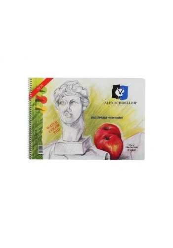 ALEX 25x35 25 YP PP KAPAK RESİM DEFTERİ ALX-816