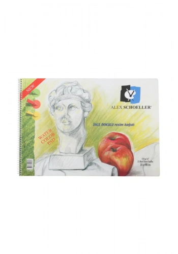 ALEX 35x50 25 YP.PP KAPAK RESİM DEFTERİ ALX-962/0823