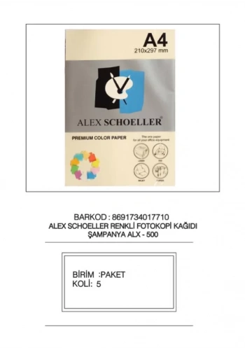 ALEX ALX-500 A4 ŞAMPANYA FOTOKOPİ KAĞ.500 LÜ