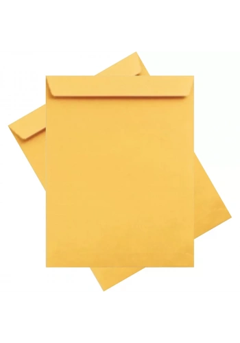 ASİL FORMULA 17x25 TORBA ZARF 100 gr 500LÜ AS-0824