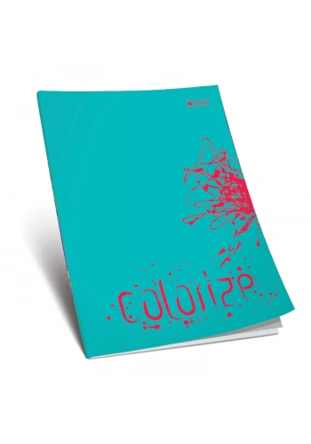 ÇINAR 100 YP A4 ÇİZGİLİ KARTON KAPAK OKUL DEFTERİ 13010