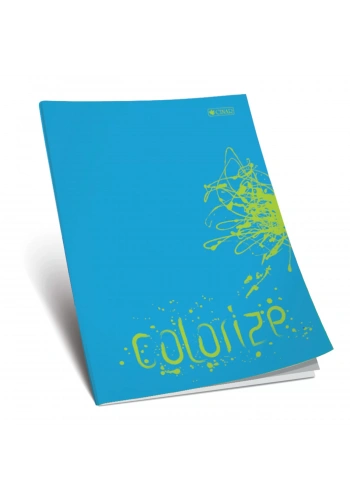 ÇINAR 100 YP A4 KARELİ KARTON KAPAK OKUL DEFTERİ 13011