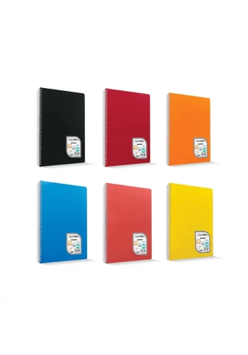 ÇINAR COLORMAXI 17x24 96 YP KARELİ SPİRALLİ DEFTER 73111