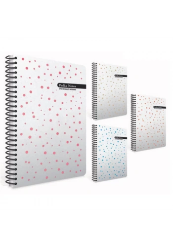 GIPTA POLKA 17x24 120 YP SP.SERT KP.KARELİ.DEFTER 5567