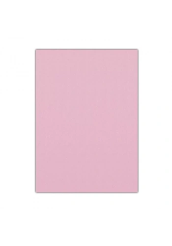 LINO EVA 50x70 PEMBE 10 LU RBE-623