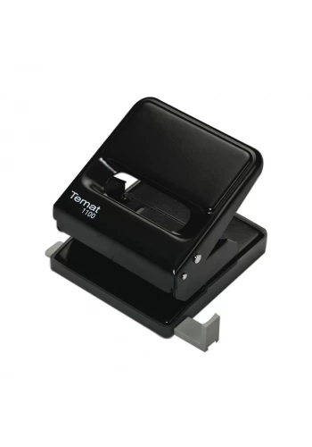 TEMAT 1100 DELGEÇ 25 SYF