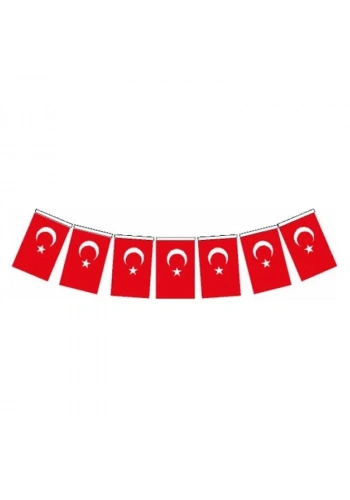 VATAN İPLİ ORTA BOY TÜRK BAYRAK 40 LI VT807