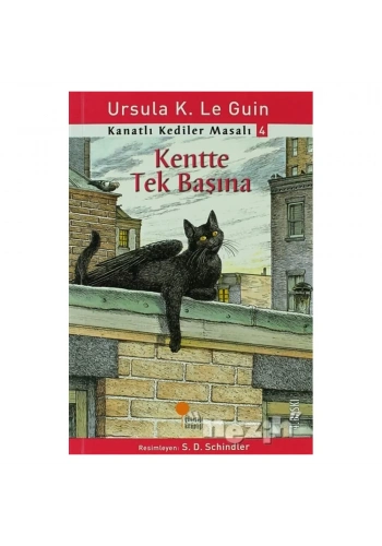Kanatlı Kediler Masalı 4 - Kentte Tek Başına