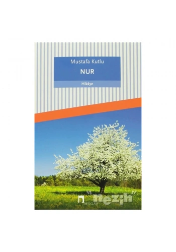 Nur