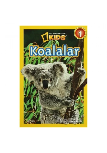 Koalalar - Seviye 1