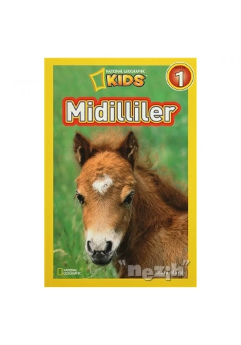 Midilliler