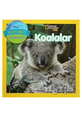 Koalalar - Dünyamızı Keşfedin