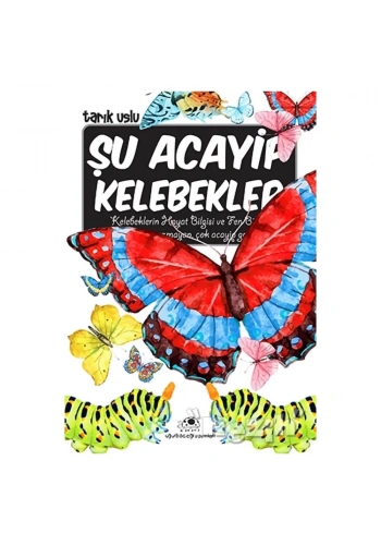Şu Acayip Kelebekler
