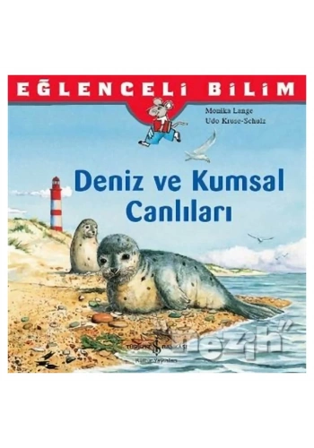 Eğlenceli Bilim: Deniz ve Kumsal Canlıları