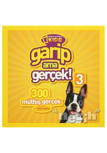Garip Ama Gerçek 3