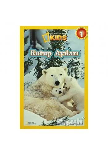 Kutup Ayıları Seviye 1