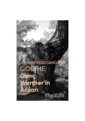 Genç Werther’in Acıları (Fotoğraflı Klasikler)