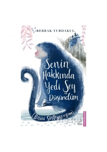 Senin Hakkında Yedi Şey Düşündüm