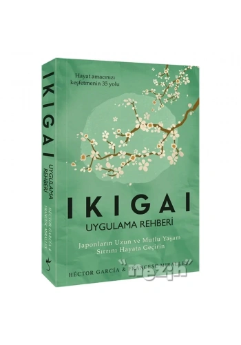 Ikigai - Uygulama Rehberi