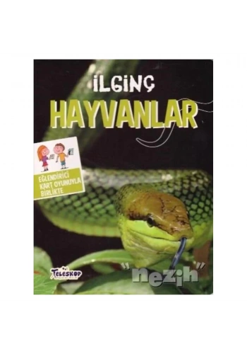 İlginç Hayvanlar  320936