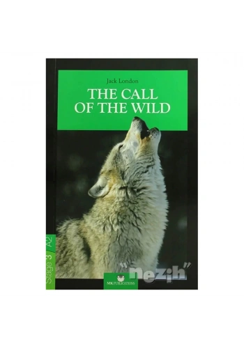 The Call of the Wild - Stage 3