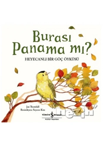 Burası Panama mı?