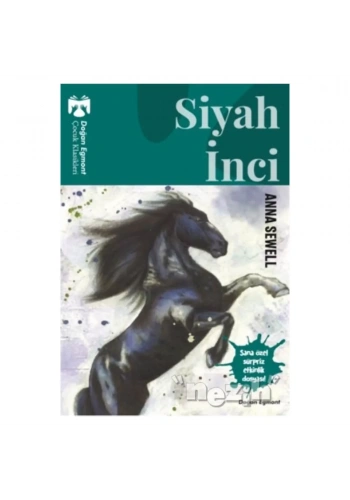 Siyah İnci  328542