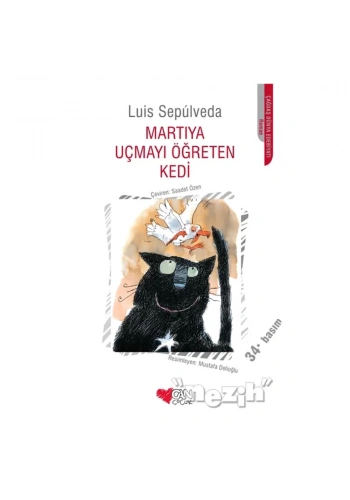 Martıya Uçmayı Öğreten Kedi