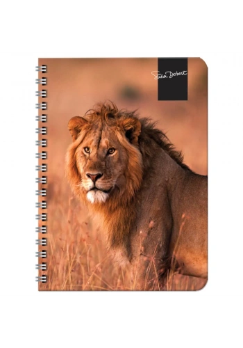 Keskin Color Süha Derbent Çizgili Defter 17x24 cm 120 Yaprak 326811-99