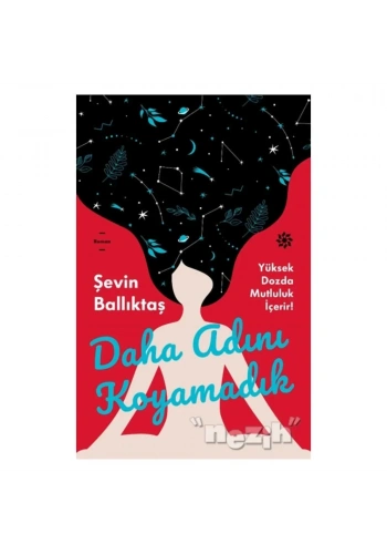 Daha Adını Koyamadık