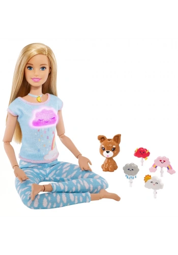 Barbie Wellness - Barbie Nefes Egzersizi Bebeği GNK01